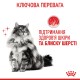 Royal Canin Hair & Skin Care Сухий корм для підтримання здоров’я шкіри та шерсті дорослих котів 4 кг