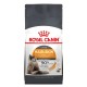 Royal Canin Hair & Skin Care Сухий корм для підтримання здоров’я шкіри та шерсті дорослих котів 2кг