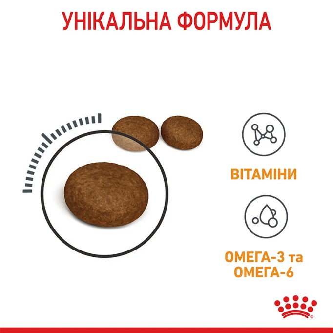 Royal Canin Hair & Skin Care Сухий корм для підтримання здоров’я шкіри та шерсті дорослих котів 2 кг