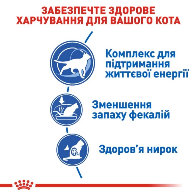 Royal Canin Indoor 7+ Сухий корм для дорослих домашніх котів старше 7 років 3.5 кг