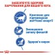 Royal Canin Indoor 7+ Сухий корм для дорослих домашніх котів старше 7 років 1,5кг