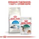 Royal Canin Indoor 7+ Сухий корм для дорослих домашніх котів старше 7 років 3.5 кг