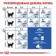 Royal Canin Indoor 7+ Сухий корм для дорослих домашніх котів старше 7 років 3.5 кг