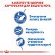 Royal Canin Indoor 27 Сухий корм для дорослих домашніх котів 10 кг