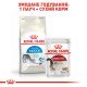 Royal Canin Indoor 27 Сухий корм для дорослих домашніх котів 10 кг
