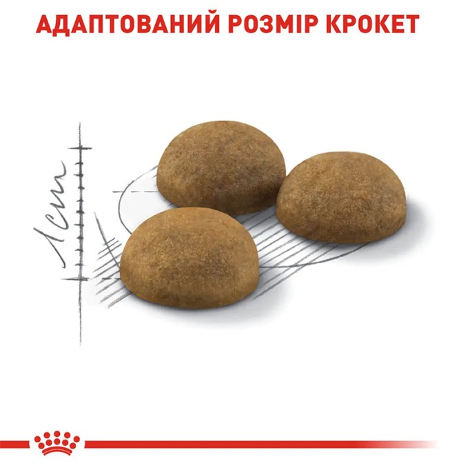 Royal Canin Indoor Long Hair Сухий корм для дорослих домашніх котів з довгою шерстю 400 г