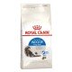 Royal Canin Indoor Long Hair Сухий корм для дорослих домашніх котів з довгою шерстю 400 г