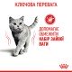 Royal Canin Light Weight Care Сухий корм для дорослих котів схильних до зайвої ваги 400 г