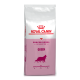Royal Canin Queen Сухий корм для дорослих кішок у період вагітності і лактації 4кг