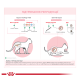Royal Canin Queen Сухий корм для дорослих кішок у період вагітності і лактації 4кг