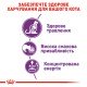 Royal Canin Sensible 33 Сухий корм для дорослих котів з чутливою травною системою 2 кг