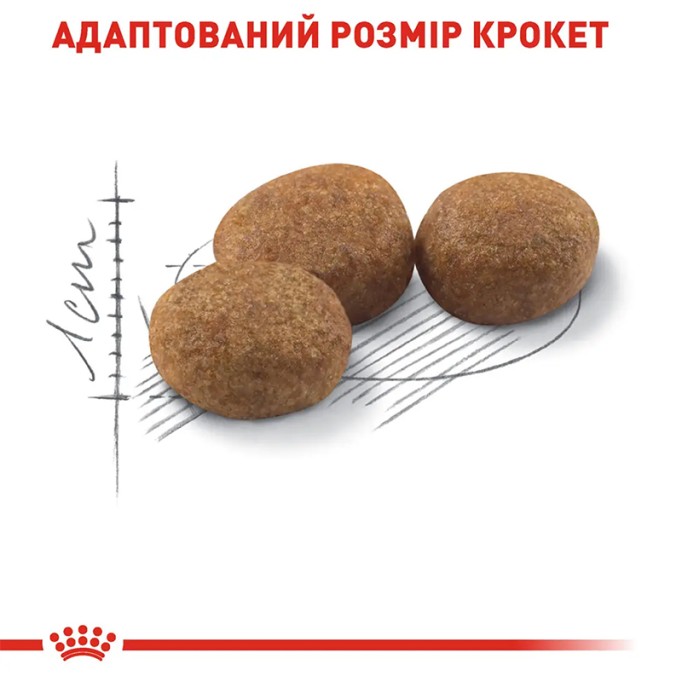 Royal Canin Sterilised 37 Сухий корм для дорослих стерилізованих котів 2 кг