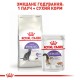 Royal Canin Sterilised 37 Сухий корм для дорослих стерилізованих котів 2 кг