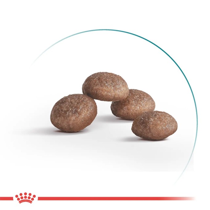 Royal Canin Ageing Sterilised 11+ Сухий корм для літніх стерилізованих котів старше 11 років 400 г