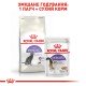 Royal Canin Sterilised 37 Сухий корм для дорослих стерилізованих котів 10 кг