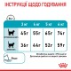 Royal Canin Urinary Care Сухий корм для підтримання здоров’я сечовивідних шляхів дорослих котів 2кг