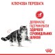 Royal Canin Urinary Care Сухий корм для підтримання здоров’я сечовивідних шляхів дорослих котів 2 кг