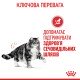 Royal Canin Urinary Care Сухий корм для підтримання здоров’я сечовивідних шляхів дорослих котів 400 г