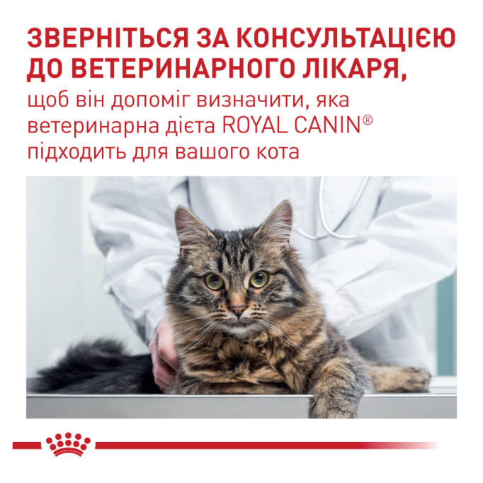 Royal Canin Calm Feline Дієтичний сухий корм для дорослих котів в періоди адаптації 2кг
