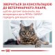 Royal Canin Calm Feline Дієтичний сухий корм для дорослих котів в періоди адаптації 2кг
