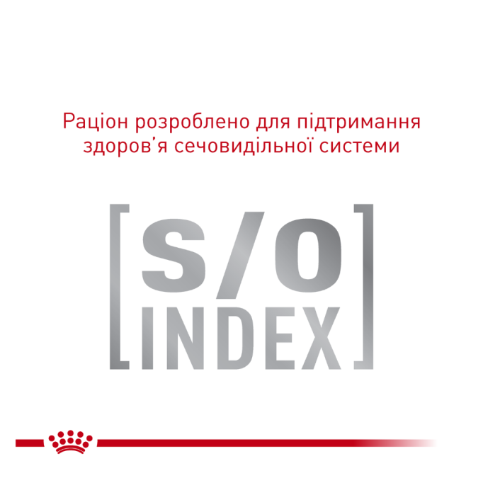 Royal Canin Diabetic Feline Дієтичний вологий корм для дорослих котів при цукровому діабеті (в соусі) 85г 12шт