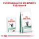 Royal Canin Diabetic Feline Дієтичний вологий корм для дорослих котів при цукровому діабеті (в соусі) 85г 12шт