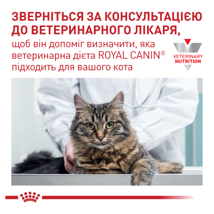 Royal Canin Diabetic Feline Дієтичний вологий корм для дорослих котів при цукровому діабеті (в соусі) 85г 12шт