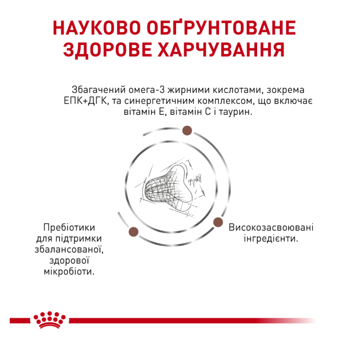 Royal Canin Gastrointestinal Fibre Response Feline Дієтичний сухий корм для дорослих котів при порушеннях травлення 2кг