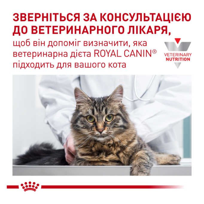 Royal Canin Gastrointestinal Fibre Response Feline Дієтичний сухий корм для дорослих котів при порушеннях травлення 2кг