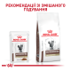 Royal Canin Gastrointestinal Fibre Response Дієтичний вологий корм для дорослих котів при порушеннях травлення (в соусі) 85г 12шт