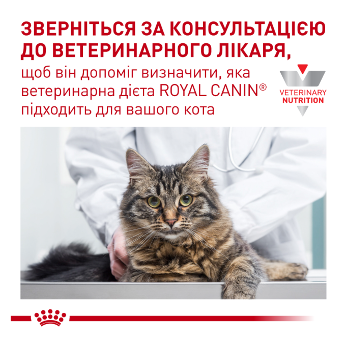 Royal Canin Gastrointestinal Fibre Response Дієтичний вологий корм для дорослих котів при порушеннях травлення (в соусі) 85г 12шт
