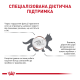 Royal Canin Gastrointestinal Kitten Дієтичний сухий корм для кошенят при розладах травлення 2кг