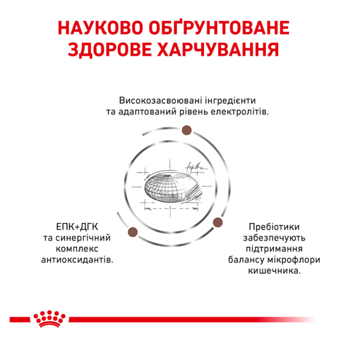 Royal Canin Gastrointestinal Moderate Calorie Feline Дієтичний сухий корм для дорослих котів при панкреатиті та гострих розладах травлення 2кг