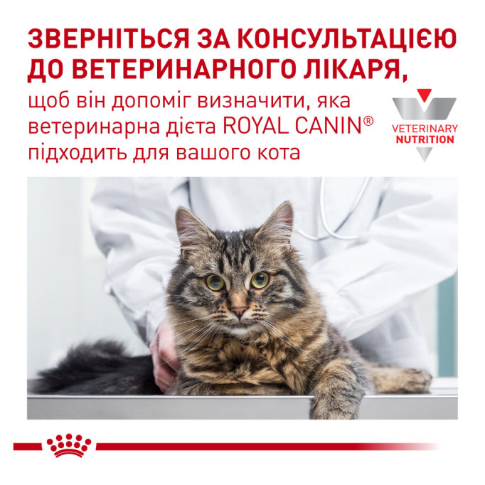 Royal Canin Gastrointestinal Moderate Calorie Feline Дієтичний сухий корм для дорослих котів при панкреатиті та гострих розладах травлення 2кг
