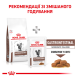 Royal Canin Gastrointestinal Moderate Calorie Feline Дієтичний сухий корм для дорослих котів при панкреатиті та гострих розладах травлення 2кг