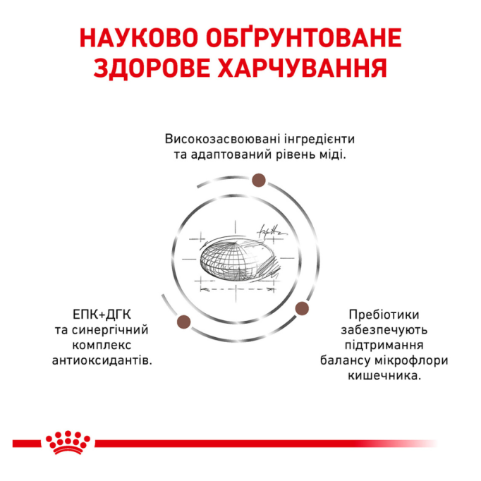 Royal Canin Hepatic Дієтичний сухий корм для дорослих котів при захворюваннях печінки 2кг