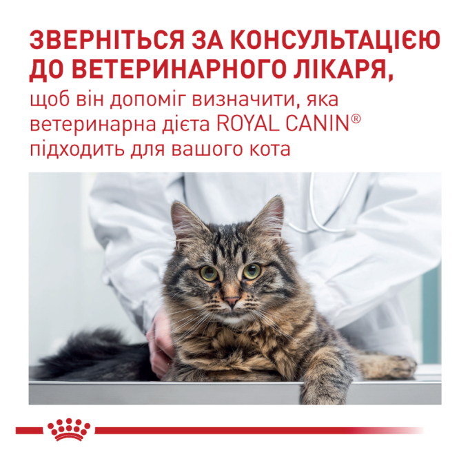 Royal Canin Mature Consult Balance Дієтичний сухий корм для дорослих котів схильних до набору ваги 1,5кг
