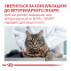 Royal Canin Mature Consult Balance Дієтичний сухий корм для дорослих котів схильних до набору ваги 1,5кг
