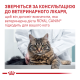 Royal Canin Mature Consult Дієтичний вологий корм для дорослих котів від 7 років (в соусі) 85г 12шт