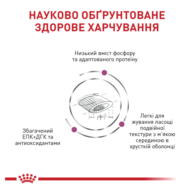 Royal Canin Renal Select Дієтичний сухий корм для дорослих котів з нирковою недостатністю 2кг