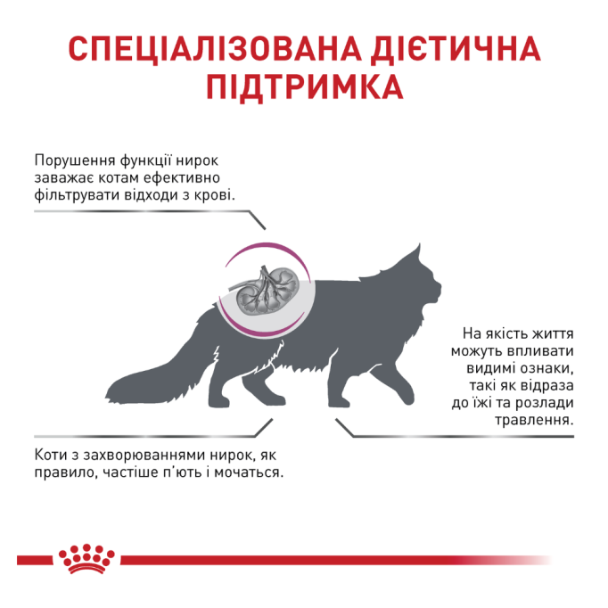 Royal Canin Renal Special Дієтичний сухий корм для дорослих котів із хронічною нирковою недостатністю 400г