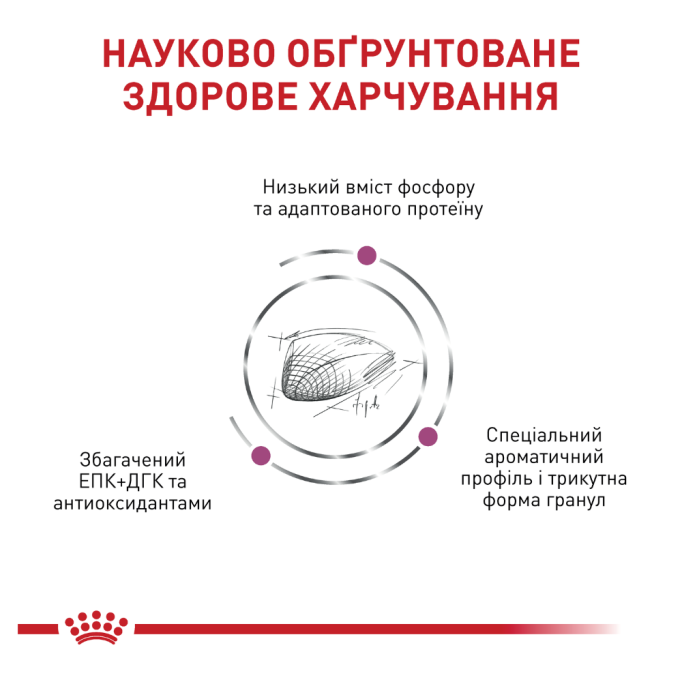 Royal Canin Renal Special Дієтичний сухий корм для дорослих котів із хронічною нирковою недостатністю 400г