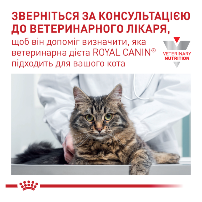 Royal Canin Renal Special Дієтичний сухий корм для дорослих котів із хронічною нирковою недостатністю 400г