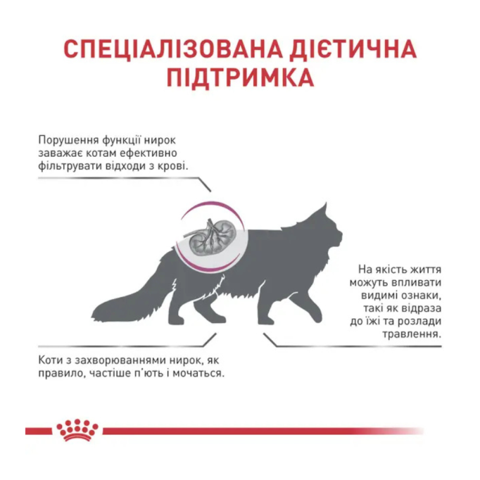 Royal Canin Renal Дієтичний сухий корм для лікування ниркової недостатності у дорослих котів 400г