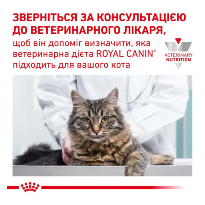Royal Canin Renal Дієтичний сухий корм для лікування ниркової недостатності у дорослих котів 400г