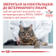 Royal Canin Satiety Weight Management Дієтичний вологий корм для дорослих котів для зниження надлишкової маси тіла (в соусі) 85г 12шт