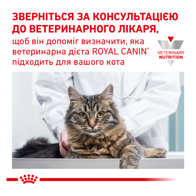 Royal Canin Skin & Coat Feline Дієтичний сухий корм для дорослих котів при дерматозі та випадінні шерсті 1,5кг
