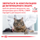 Royal Canin Skin & Coat Feline Дієтичний сухий корм для дорослих котів при дерматозі та випадінні шерсті 400г