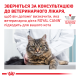 Royal Canin Skin & Coat Дієтичний вологий корм для дорослих котів при дерматозі та випадінні шерсті (в соусі) 85г 12шт