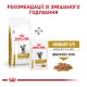 Royal Canin Urinary S/O Feline Moderate Calorie Дієтичний сухий корм для дорослих котів із хронічною нирковою недостатністю 400г